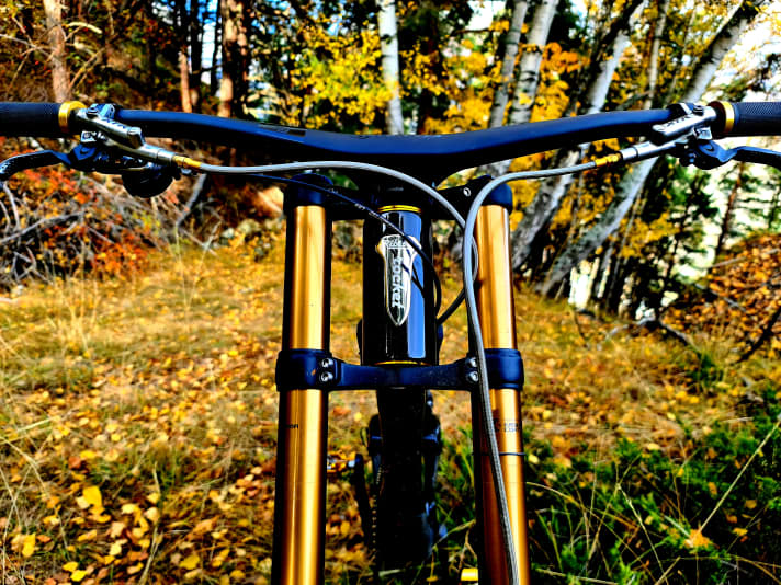 Black and gold, the Rocket nestles into the autumnal surroundings.