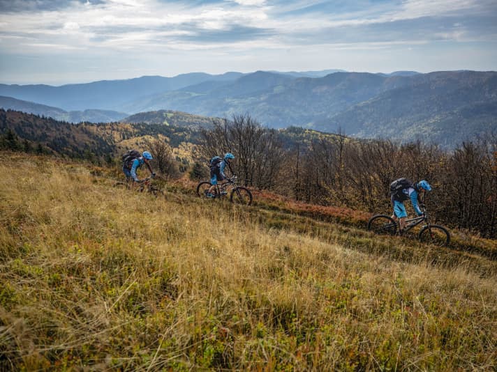 Everything legal: unlike in the Black Forest, bikers in the Vosges can let off steam as they please. Page 102 