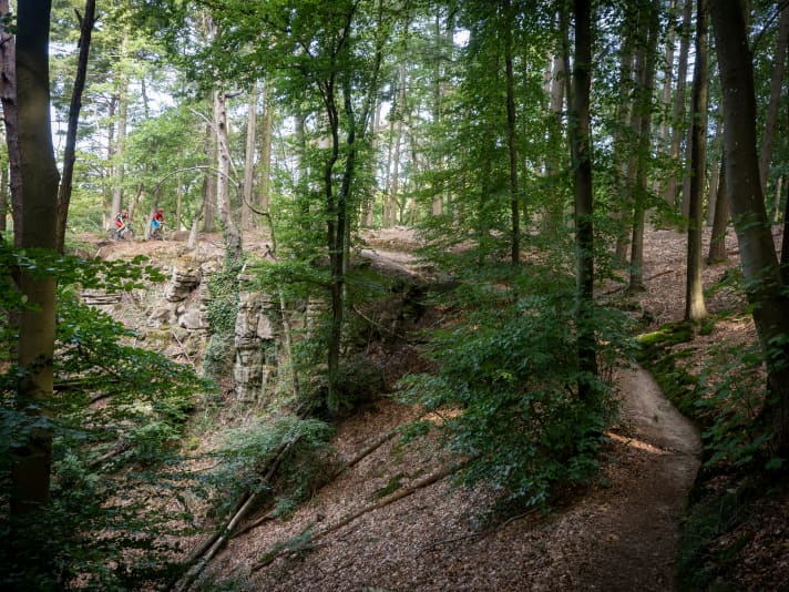 Die Trails in den Ardennen balancieren auch über Schiefergestein-Wände.