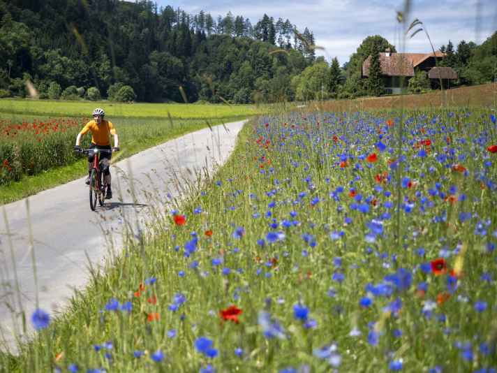 Das Grüne Band rund um Bern führt ­vorbei an traditionellen Bauernhöfen und Feldern voller Mohn und Kornblumen.