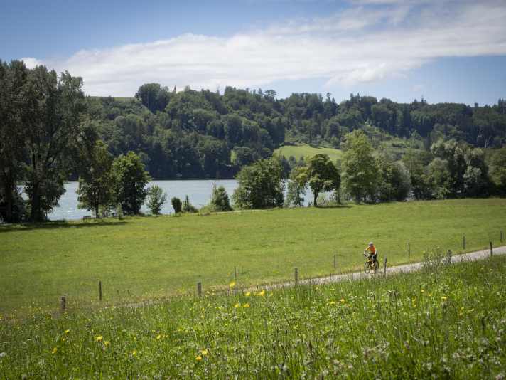 The Aare is a cosy place to pedal along.