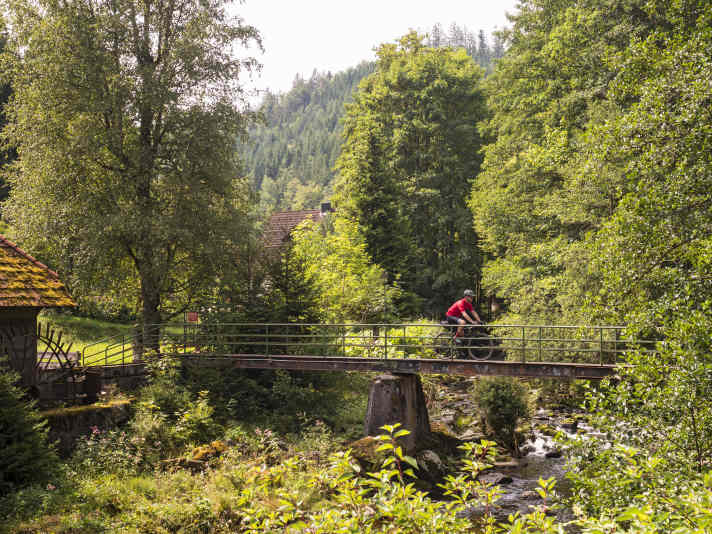 Lush greenery awaits cyclists in the Langenbachtal nature reserve near Schönmünz