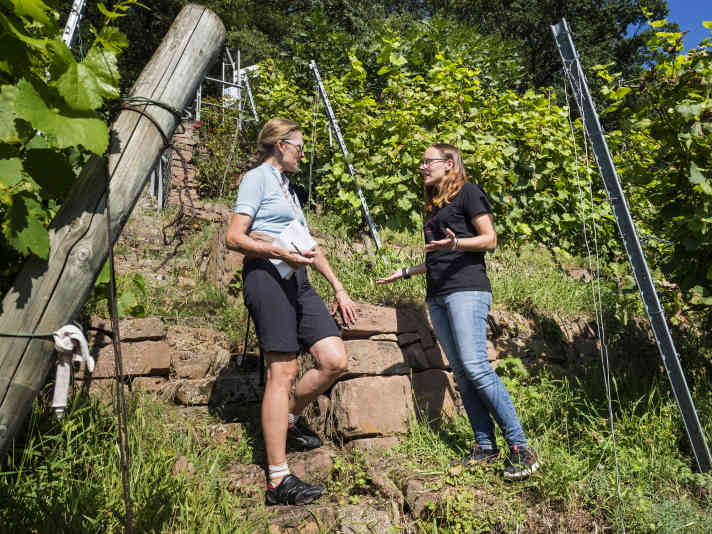 Winzerin Verena Waigand erklärt MYBIKE-Autorin Christiane Bertelsmann ihre Arbeit im Weinberg