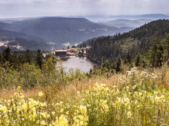 Dafür lohnt sich die anstrengende Auffahrt: Blick von der Hornisgrinde auf den Mummelsee.