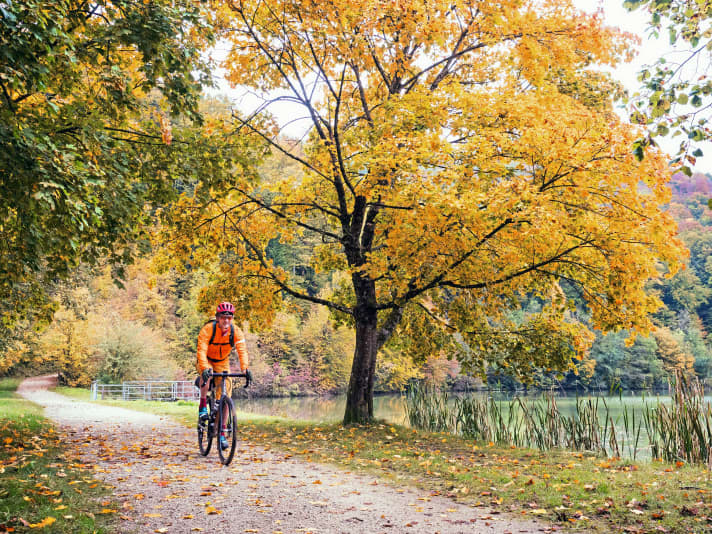 Countless carp ponds lie between the hills of the Sundgau.