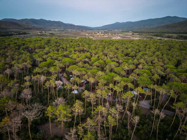 Da können die Camping-Legebatterien an der Adriaküste nicht mithalten: Camping Punta Ala mit natürlichen Sonnenschirmen.