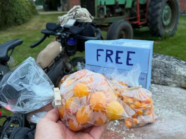 Dänemark entpuppt sich als das bisher fahrradfreundlichste Land. Aber es warten ja noch 10 weitere Länder auf dem Weg nach Portugal.
