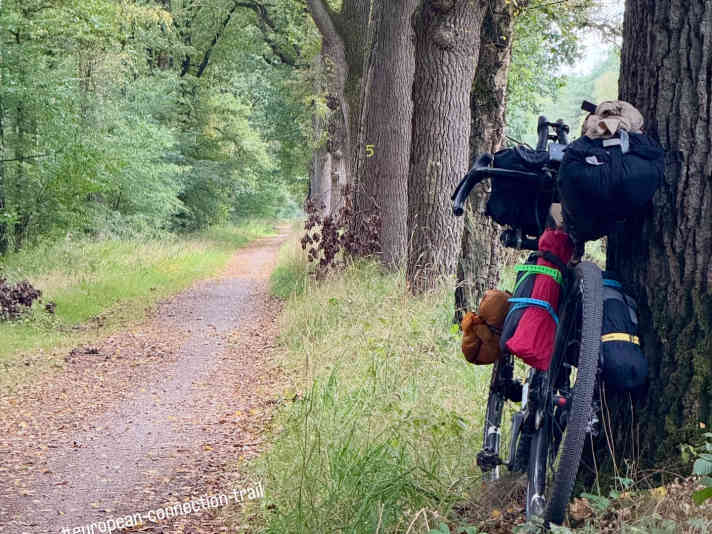 Une piste cyclable droite et étonnamment sans frontières entre l'Allemagne et les Pays-Bas.