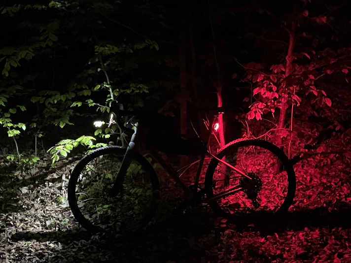 Lightshow für die nächtlichen Waldbewohner - ausnahmsweise!
