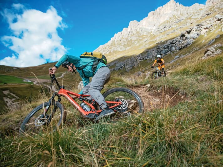 Manoeuvrable, nimble, light: the Levo SL (Minimal-Assist) rides like a playful organic bike. 