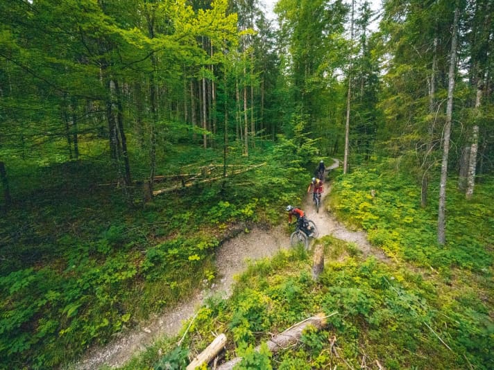 Trails mit wenig Gefälle: Hier punktet das flinke Trailbike (vorne).