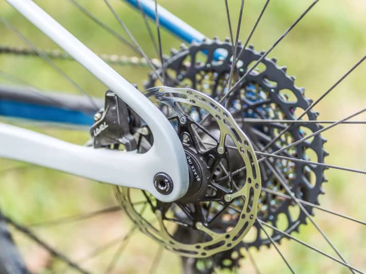 Die kleine 160er-Scheibe am Heck spart zwar viel Gewicht an einem Racebike, eignet sich im Trail-Einsatz aber kaum für lange und steile Abfahrten.