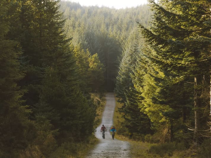 Einer der Topspots von Dublin befindet sich im Süden der Hauptstadt und zwar im Ticknock Forest.