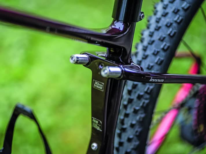 A new idea: two hydraulic pistons regulate the compression and rebound speed. Other softtails do without such a damper. 