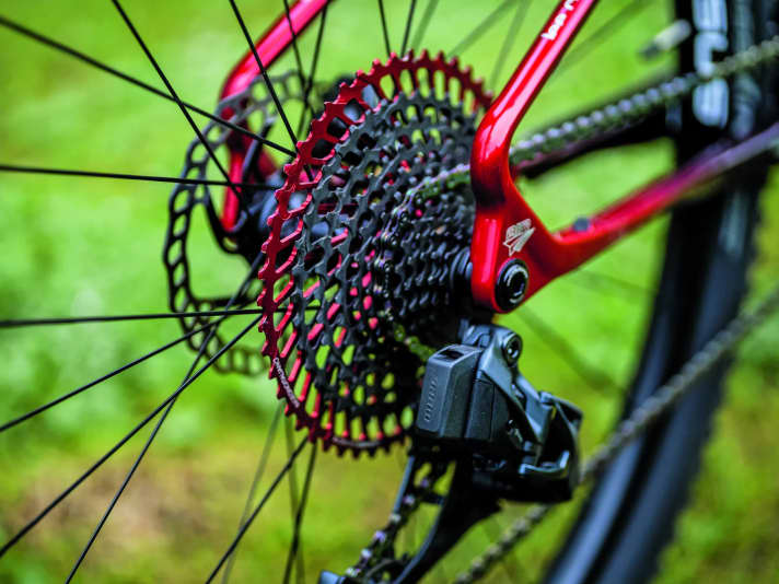 Breit übersetzt: Die Leonardi-Racing-Kassette mit 9–50 Zähnen bietet 555 Prozent Bandbreite. Lautes Knarzen störte aber im Fahrbetrieb.