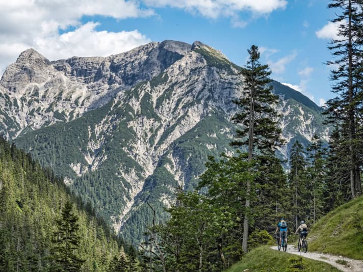 An der grünen Grenze zwischen Bayern und Tirol schmuggeln sich Biker den Schützensteig hinab zum Ammerwald.