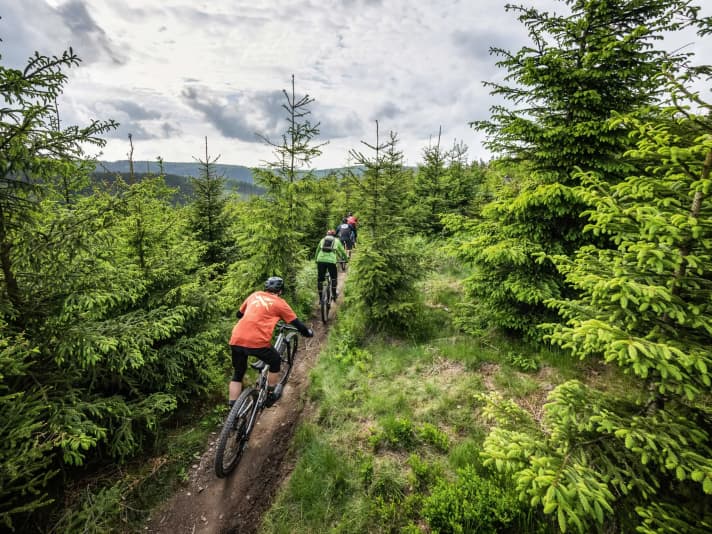 Travelling into the distance: All bikes can do this with the right amount of effort. However, only very few manage the balancing act between uphill and downhill qualities.