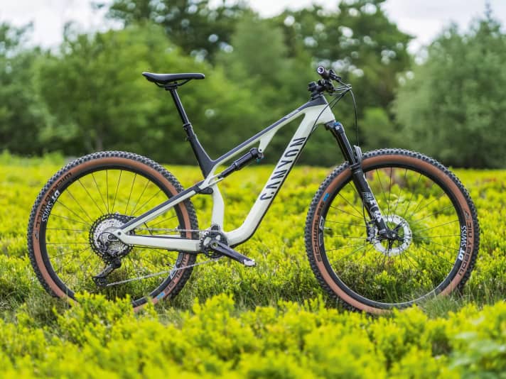 Neuron 2025 cf 9.0