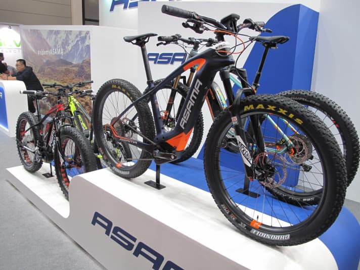 This Asama hardtail hides the Bosch Powertube battery in the carbon frame. This powers the Performance CX motor. The wide 3-inch tyres provide plenty of comfort.