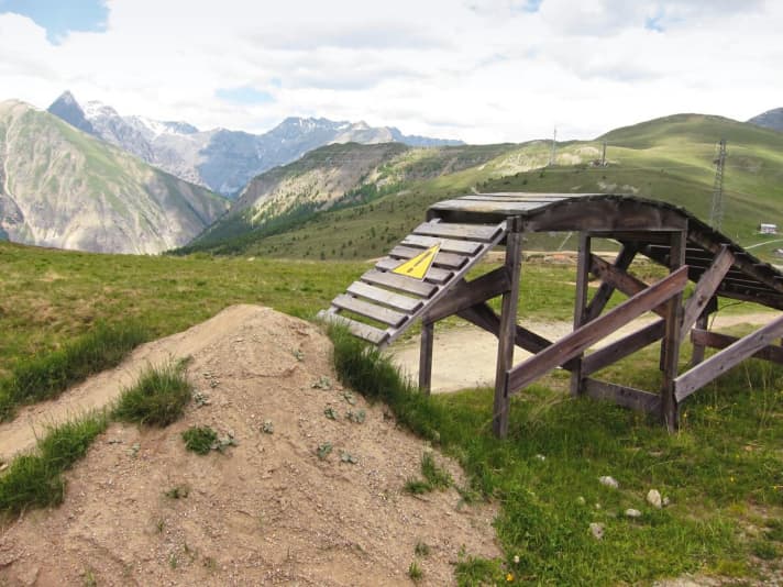   Hilfestellung: Egal ob hoch (Step-up) oder runter (Drop), Holzbrücken helfen, die Angst zu nehmen und Stürze zu verhindern.