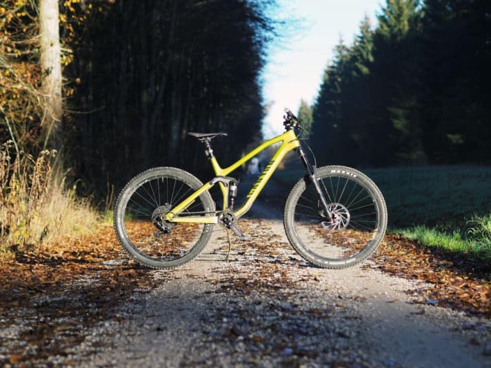   Canyon Spectral CF 8.0 EX