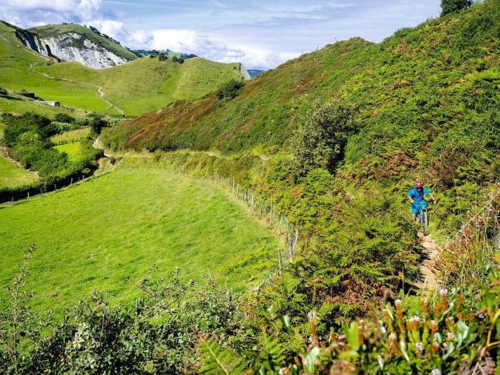   The nature trails make their waves far into the Basque hinterland. The constant ups and downs take their toll.