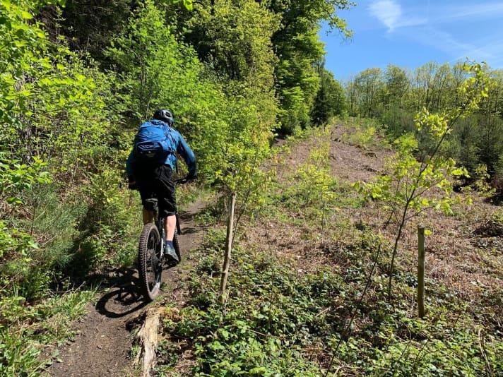Teilweise verläuft der Trail direkt auf der Grenzlinie zwischen Belgien und Deutschland.