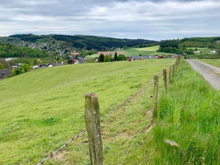 Typical for today: forest, cows, wind turbines and metres uphill.