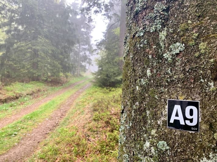I only know the A9 motorway from Nuremberg to Munich with traffic jams, but today it was as quiet as a mouse on the fog-covered hiking trail marked by the Sauerland Mountain Association.