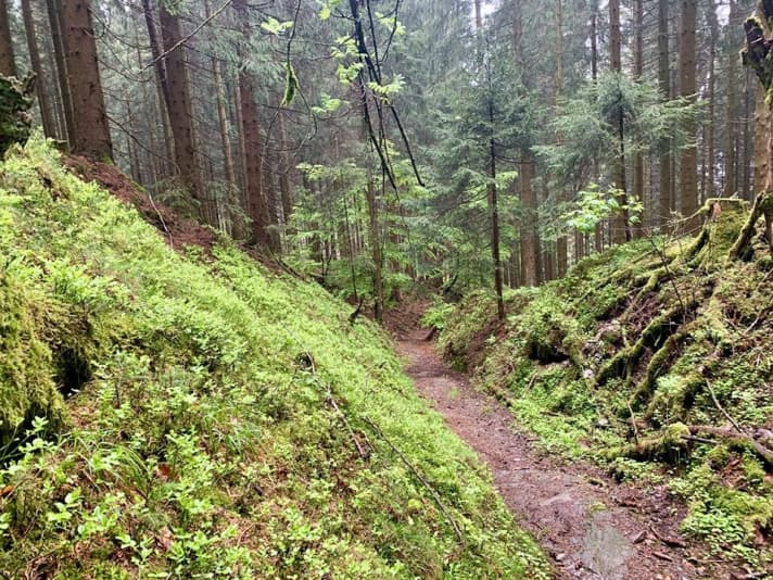 This is a great path that leads down to Siedlinghausen.