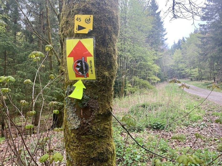 Auf dem Langenberg: Die Marathon-Beschilderung machte klar, dass das <a href="https://www.facebook.com/hashtag/bikefestivalwillingen2019?epa=HASHTAG" target="_blank" rel="noopener noreferrer nofollow">#BIKEFestivalWillingen2019</a>  nicht mehr weit ist.