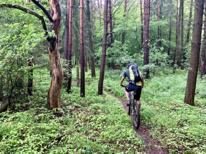 Solche Trails hatten wir auf den ersten 20 Kilometern mehrfach unter den Stollen.