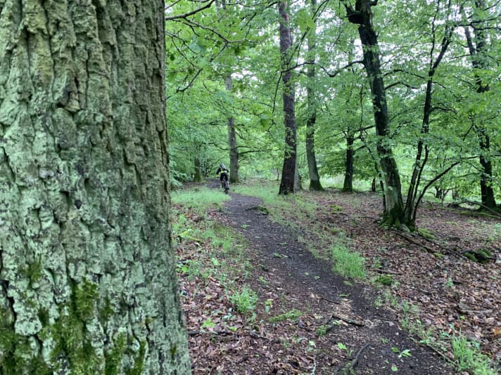 Auf dem Fellingshausen-Trail.