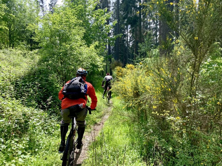 Ritchie und Thorsten auf einem der langen Singletrails den Großen Feldberg hinauf – hmm, ein Genuss. Wenn bergauf, dann am liebsten so.