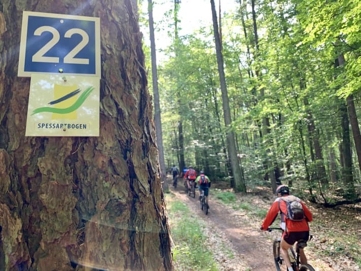 Immer wieder folgten wir dem Premium-Wanderweg Spessartbogen.