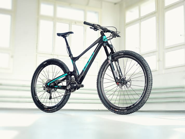   The Linkin Trail is the first mountain bike from the Swiss label Bold.