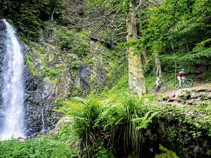 Waterfalls such as the Cascade du Queureuihl are hidden in the dense forest furs of the Auvergne.