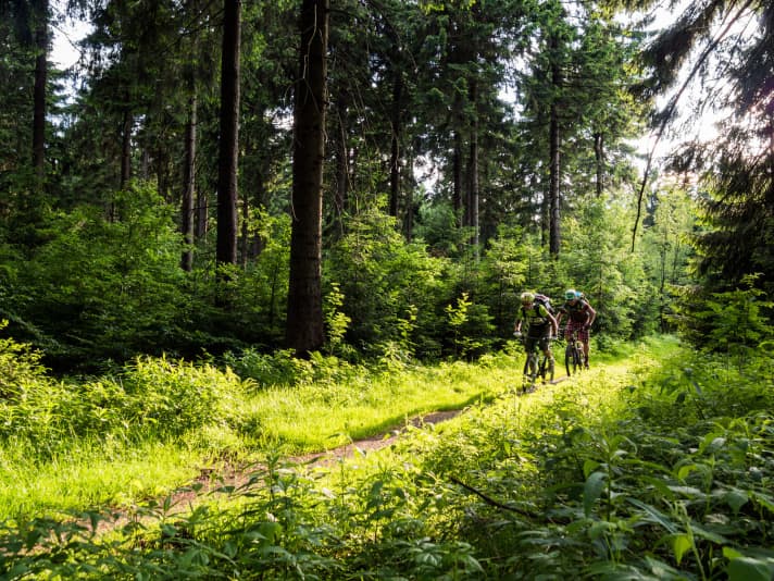 Rennsteig mit dem Mountainbike: Im letzten Licht des Tages dem Versorgungsengpass entgegen.