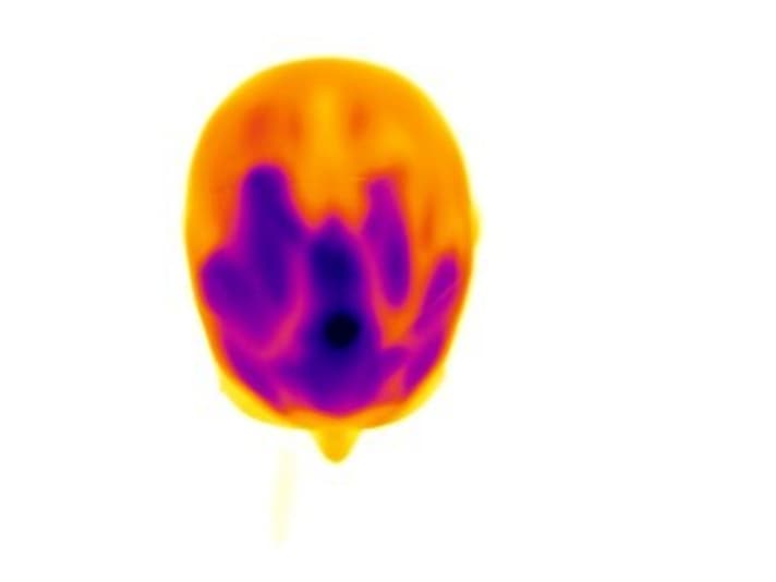   Die Thermografie entlarvt die Schwächen: gut belüftet an der Front, doch am Heck staut sich die Wärme.