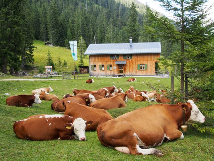  Die Krinner-Kofler-Hütte bietet die Gelegenheit zu einer weiteren Übernachtung im Karwendel.