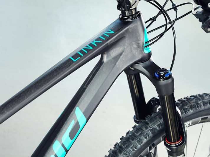   The cables of the Bold Linkin Trail run completely inside the frame.