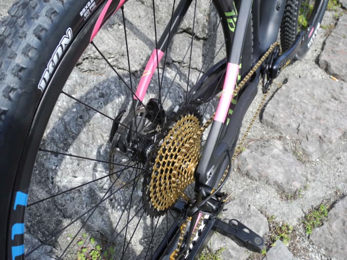   Helping to keep the weight down: lightweight in-house carbon wheels and 1 x 12-speed Sram XX1 Eagle drivetrain.