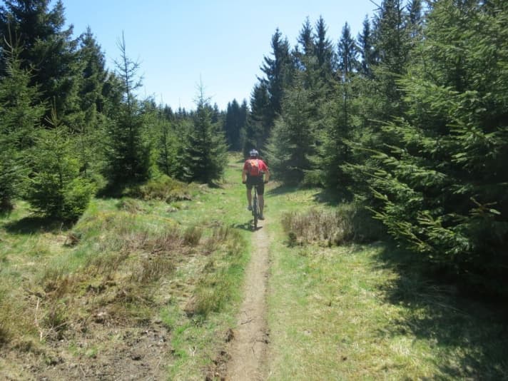  Wer hätte das gedacht: Deutschlands längster Trail befindet sich im Harz! Der Magdeburger Stieg.