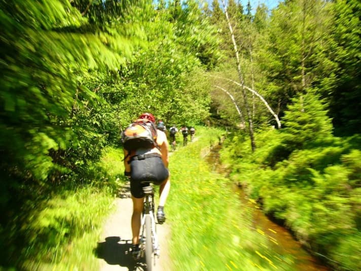   From the Magdeburger Stieg, the route leads to the path along the Dammgraben - 24 kilometres long!