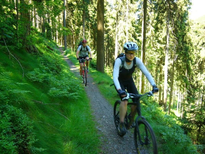   Ende des Magdeburger Stieg-Trails ist der Hausherzberger Teich.