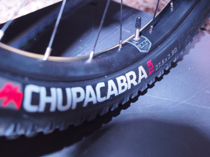  The Fuel EX 27.5 Plus rolls on 2.8 inch wide Chupacabra tyres.