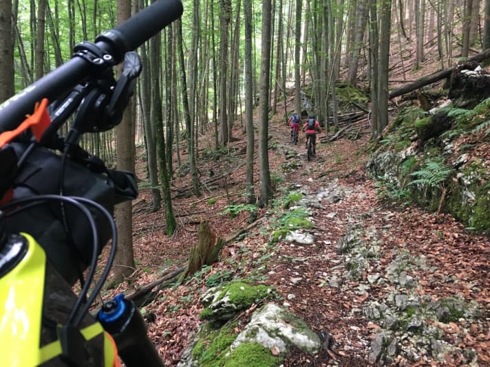   Beste Begleitung auf den ersten Kilometern: Tina und Tina kennen sich in der Ecke um Füssen bestens aus und zeigten mir drei Trails rund um das Königsschloss Hohenschwangau. 