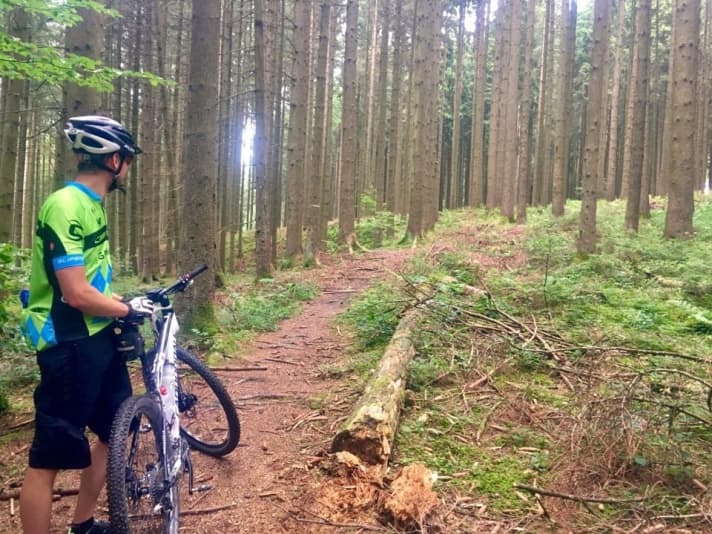   Daniel, mein Guide bis Ausgburg, auf seinen Hometrails im Naturpark Augsburg – Westliche Wälder.