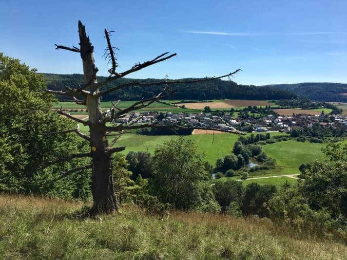   Einer von vielen wunderbaren Ausblicken im Altmühltal.