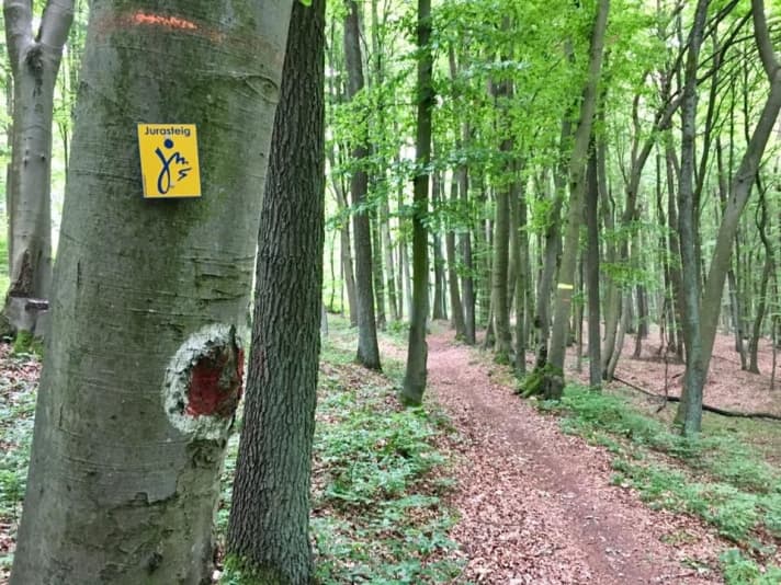   The last few metres to Bad Abbach were along the Jurasteig trail.